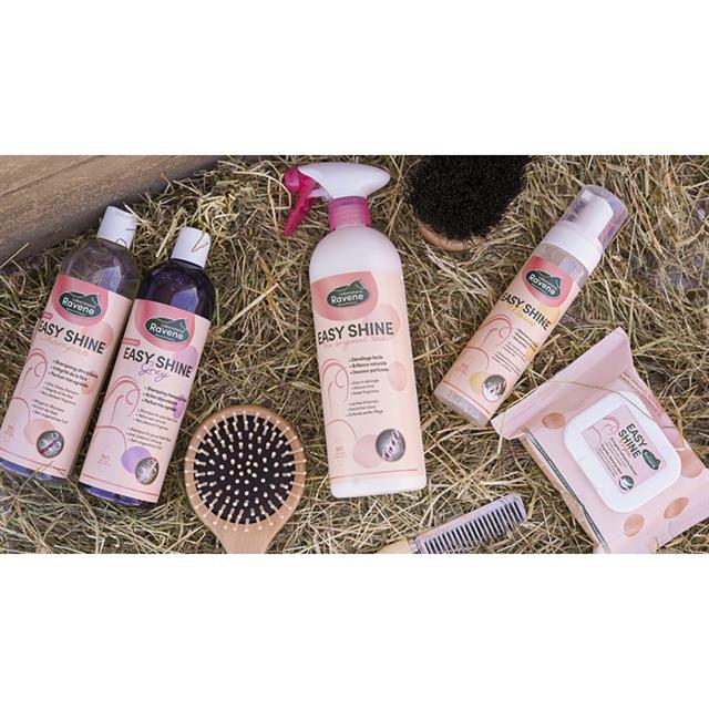 Ravene Easy Shine Shampoo Grey 