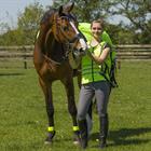 Reflection Vest QHP Yellow