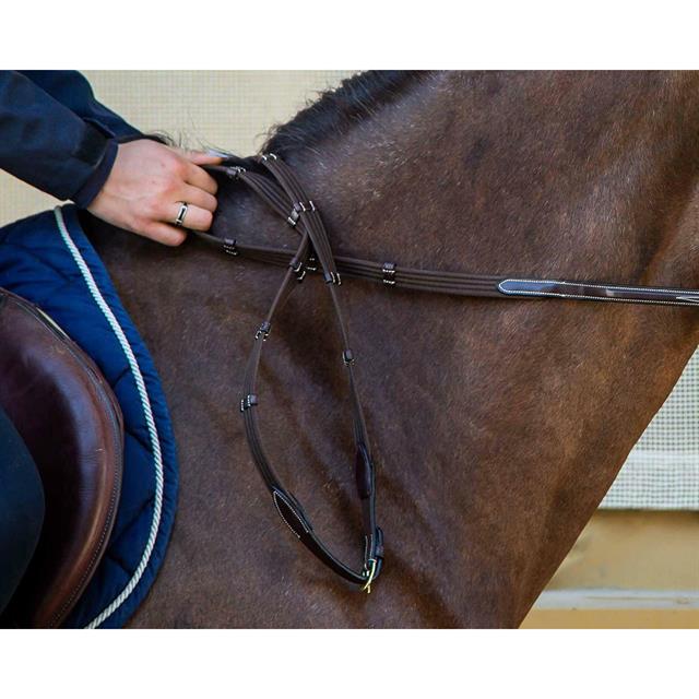 Reins D Collection by Dy'on 5/8 Web With Stops Brown
