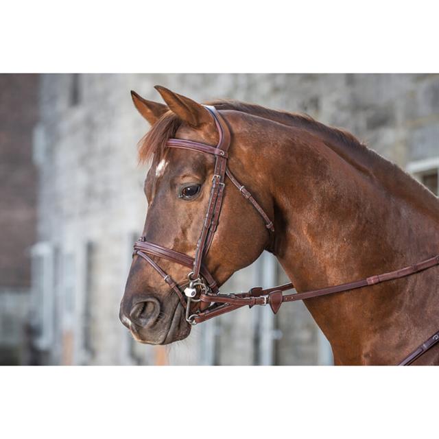Reins Dy'on Pelham Rubber With Stops New English Collection Brown