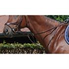 Reins Dy'on Rubber New English Collection Brown