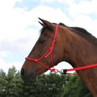 Reins F.R.A. Gabi Plaited Cotton Red