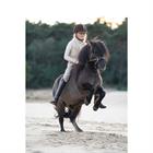 Reins Human&Horse By Greetje Hakvoort 18mm Brown