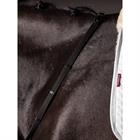 Reins LeMieux Webbed Continental Black-Silver
