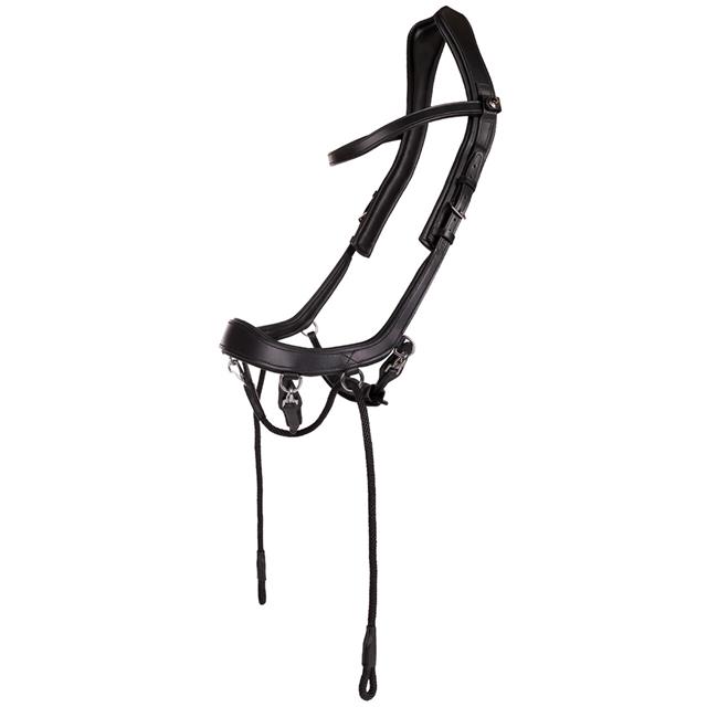 Reins PresTeq FayRein Bitless With Clip + Stops Black