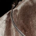 Reins PresTeq FaySport Black