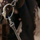 Reins PresTeq FaySport Black