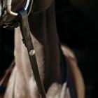 Reins PresTeq FaySport Black