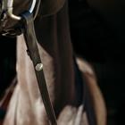 Reins PresTeq FaySport Black