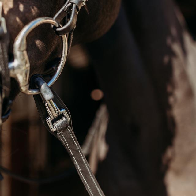 Reins PresTeq FaySport Black