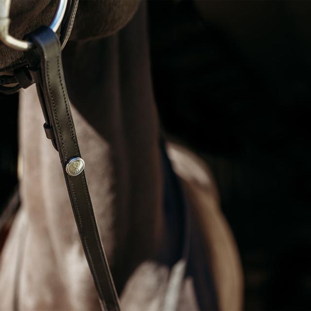 Reins PresTeq FaySport Black