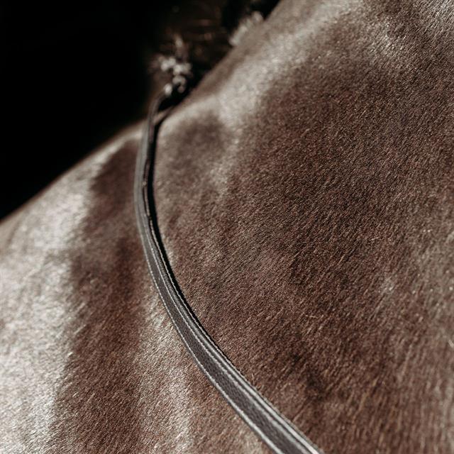 Reins PresTeq FaySport Black