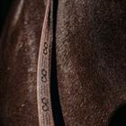 Reins PresTeq FaySport Brown
