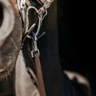 Reins PresTeq FaySport Brown