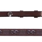 Reins PresTeq FaySport Brown