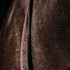Reins PresTeq FaySport Brown