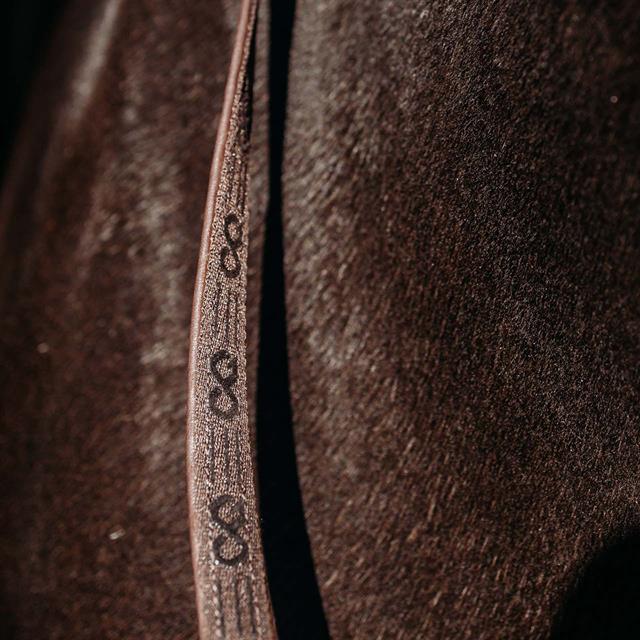 Reins PresTeq FaySport Brown