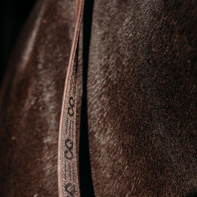 Reins PresTeq FaySport Brown