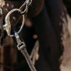 Reins PresTeq FaySport With Clip&Stops Black