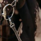Reins PresTeq FaySport With Clip&Stops Black