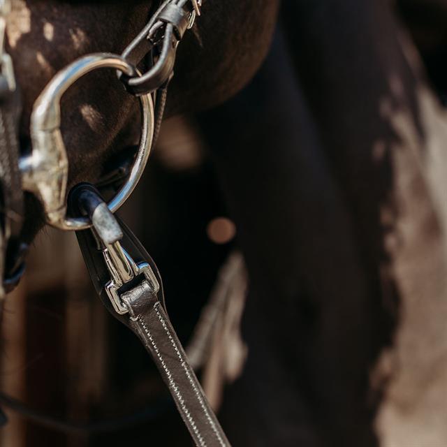 Reins PresTeq FaySport With Clip&Stops Black