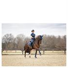 Riding Leggings ANKY 3C Full Grip Dark Blue