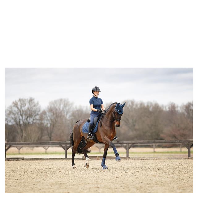 Riding Leggings ANKY 3C Full Grip Dark Blue