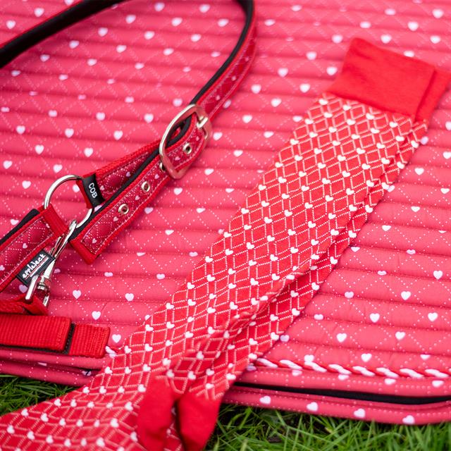 Riding Socks Epplejeck EJValentine Red