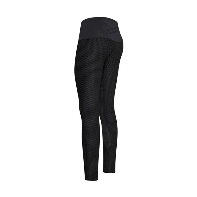 Riding Tights euro-star Flying Famous Leg Grip Black