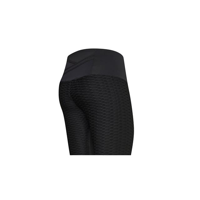 Riding Tights euro-star Flying Famous Leg Grip Black