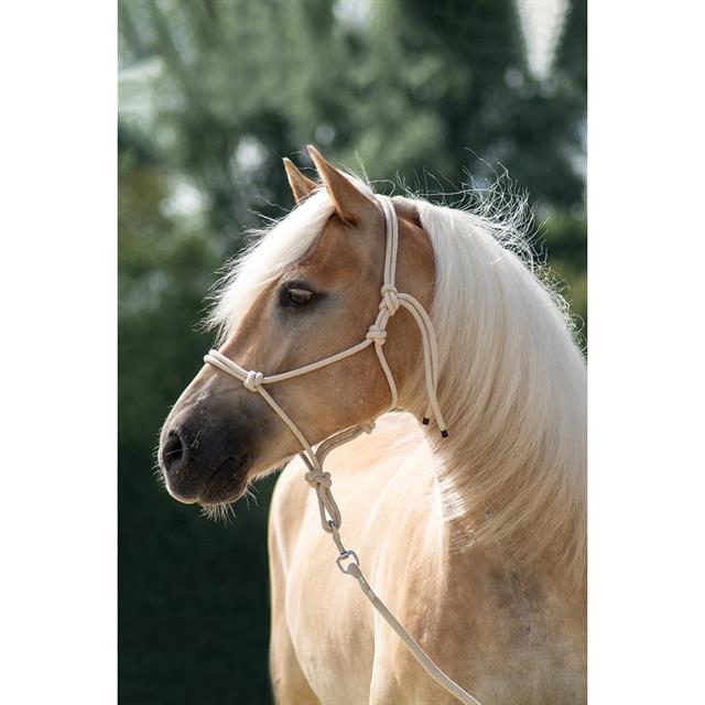 Rope Halter And Lead Free Horse Off White