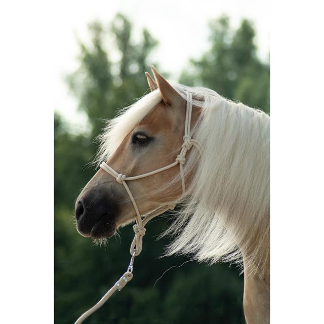 Rope Halter And Lead Free Horse Off White