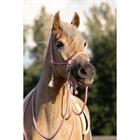 Rope Halter And Lead Rope Free Horse FHFanna Pink-Beige