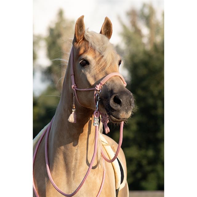 Rope Halter And Lead Rope Free Horse FHFanna Pink-Beige