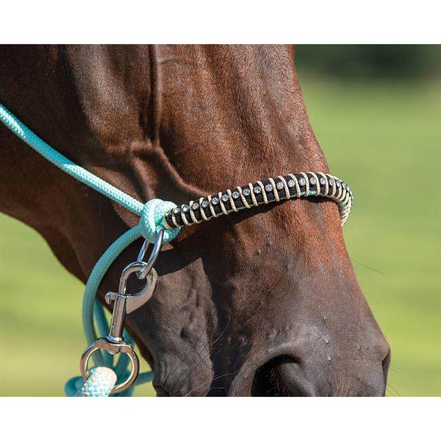 Rope Halter Combi QHP Liberty Green