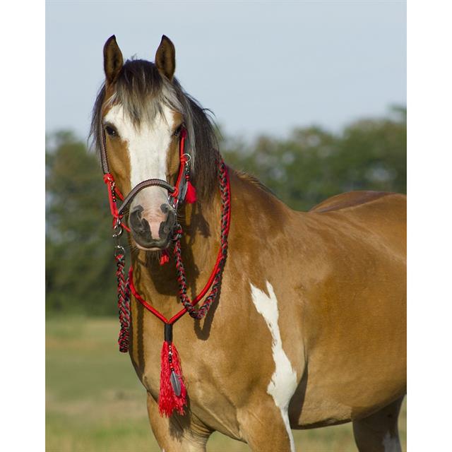 Rope Halter Combi QHP Liberty Red