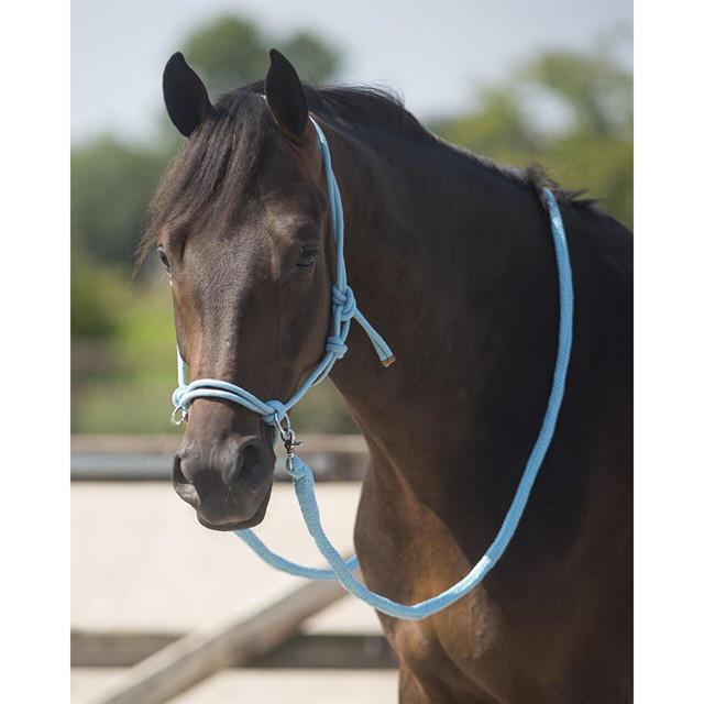 Rope Halter QHP With Reins Light Blue