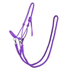 Rope Halter QHP With Reins Purple