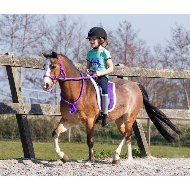 Rope Halter QHP With Reins Purple