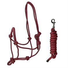 Rope Halter with Lead Rope QHP Colour