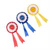 Rosettes LeMieux Hobby Horse 3-Pack 