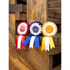 Rosettes LeMieux Hobby Horse 3-Pack 
