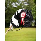 Rosettes LeMieux Hobby Horse 3-Pack 