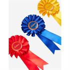 Rosettes Set LeMieux Toy Pony 3-Pack 