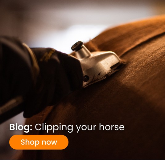 Row 1 banner 1 Clipping your horse
