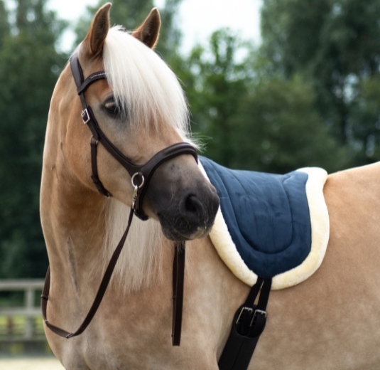 Row 1 banner 1 Free Horse bitless bridle 