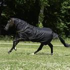 Rug Bucas Irish Turnout Full Neck 50gr Black-Gold