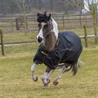 Rug Bucas Irish Turnout Light 50g Pony Black-Gold
