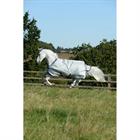 Rug Bucas Power Turnout Big Neck 0g Silver