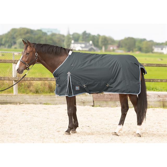 Rug Harry's Horse Thor 200gr Grey